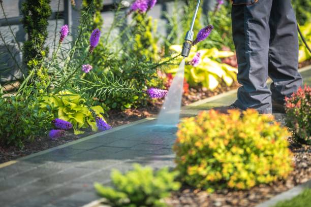 Best Soft Washing  in Saddle River, NJ